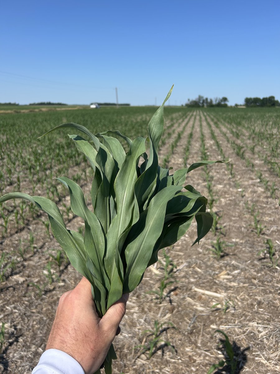 Making educated decisions based off data is critical with high inputs and low commodities. Now is the time to begin to build that story to make those tough decisions for next growing season. Football is now a game of analytics and why can't farming become the same. Start now!!