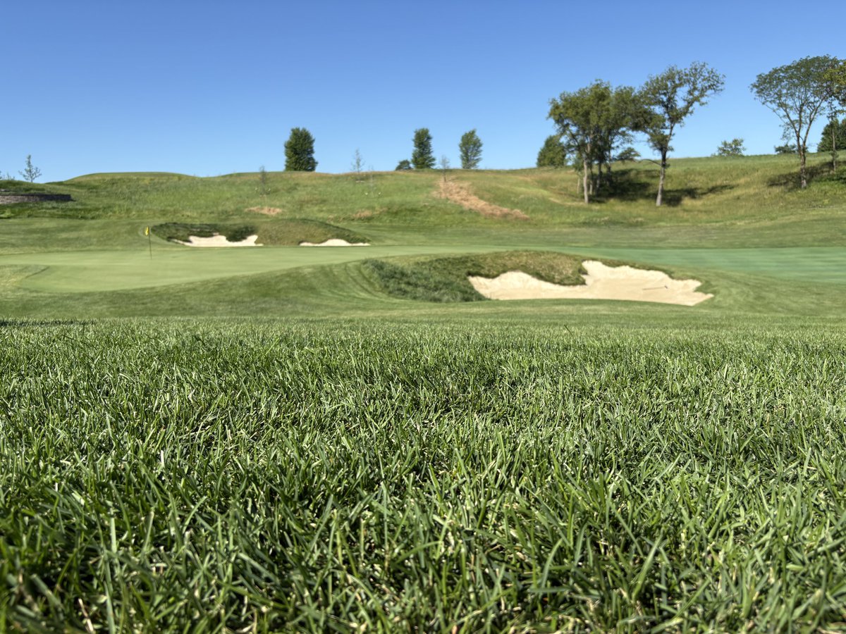 HGT Sod (@hgtsod) on Twitter photo Thank you for the tour of the course today <a href="/LostRailGolf/">Lost Rail Golf Club</a>
Magnificent course with so much HGT Sod doing what the HGT Sod does. 😎🔥 Thank you for the tour of the course today <a href="/LostRailGolf/">Lost Rail Golf Club</a>
Magnificent course with so much HGT Sod doing what the HGT Sod does. 😎🔥