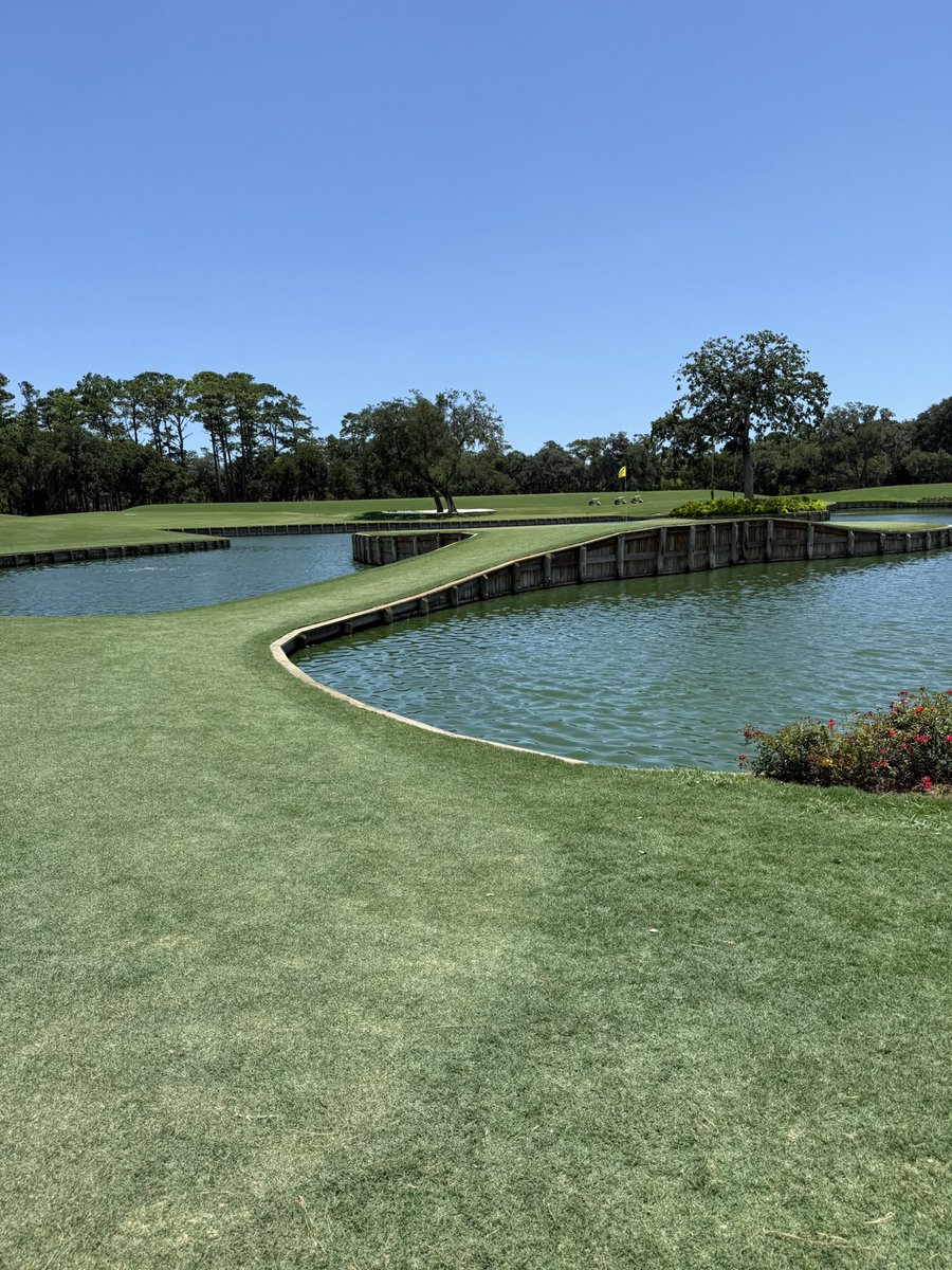 mikecoreysports's tweet image. Perfect day for golf @TPCSawgrass / Pumped to get a birdie on #17 🏌️♂️