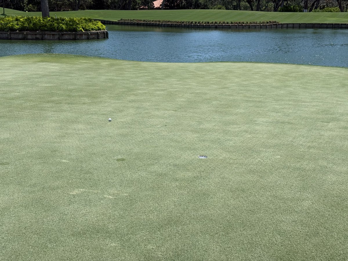 mikecoreysports's tweet image. Perfect day for golf @TPCSawgrass / Pumped to get a birdie on #17 🏌️♂️