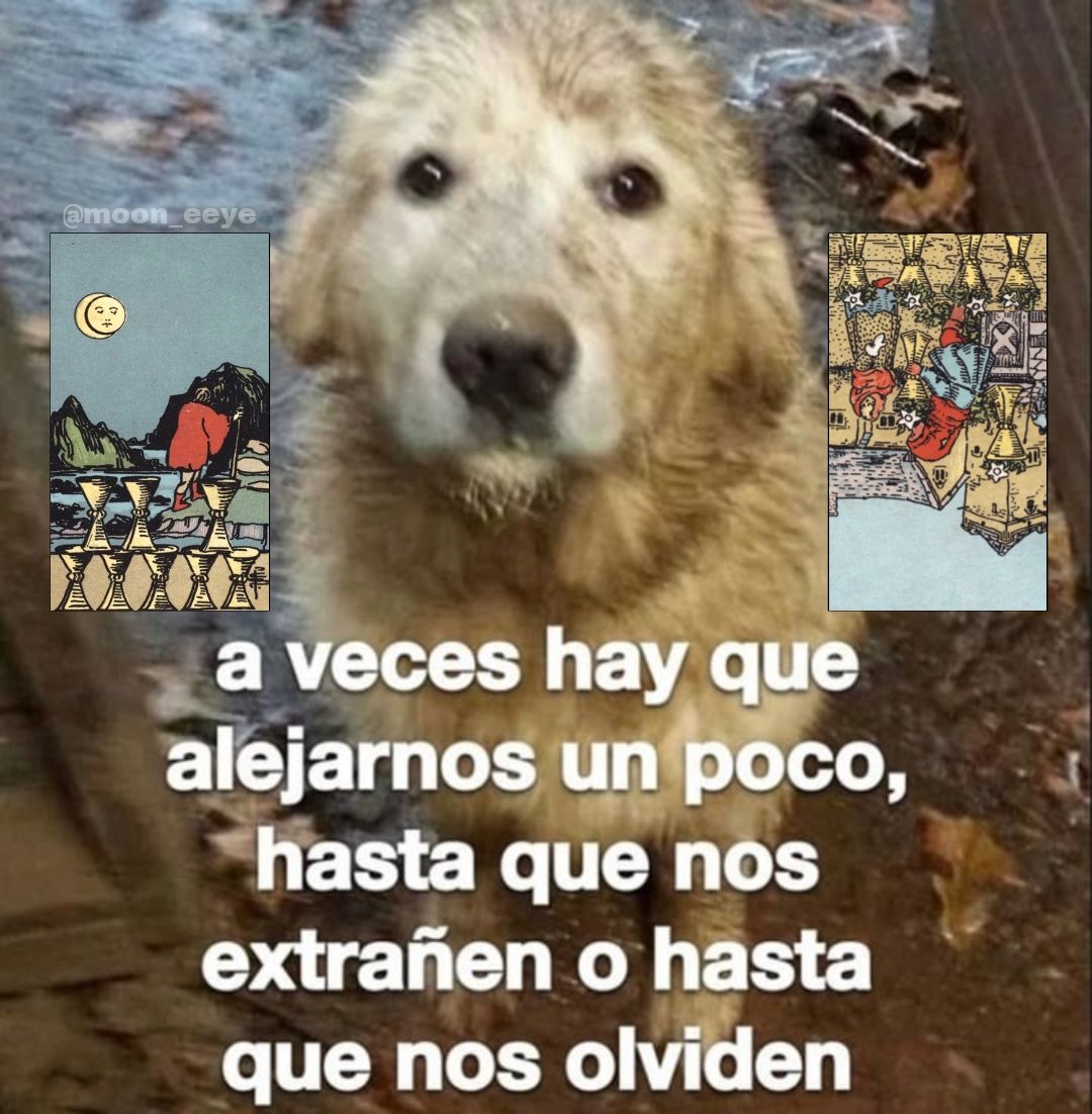 Moon_eeye's tweet image. 