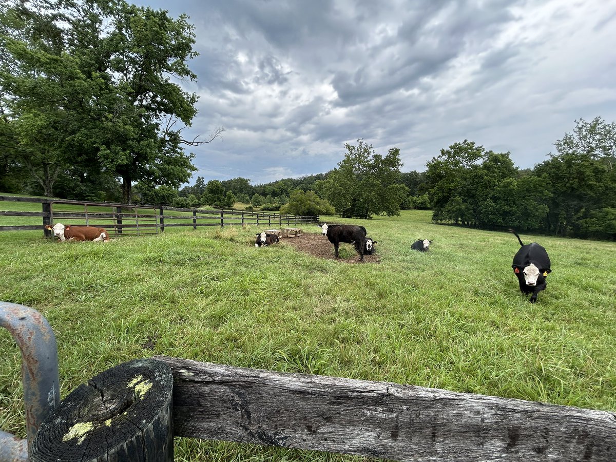 Just chillin waiting for feeding time