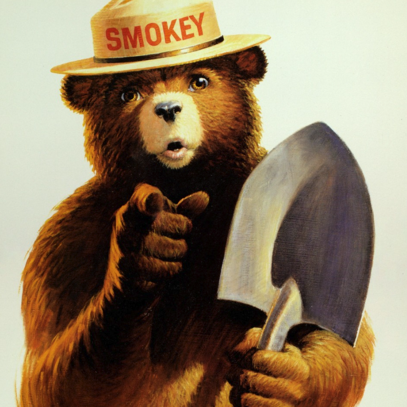 MoonPay 🟣 tweet media