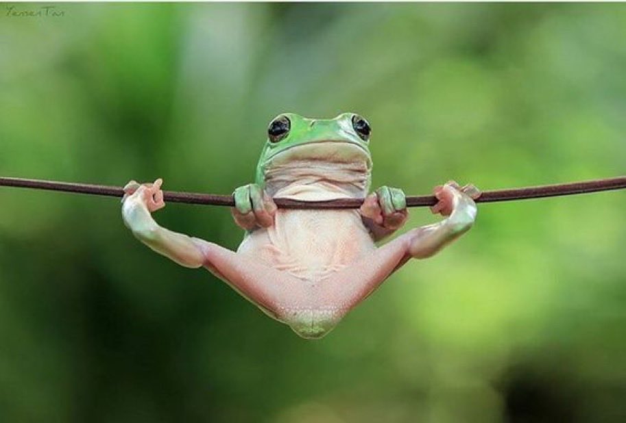 Sometimes life‘s little problems give you a good stretch. Relax and hold on!