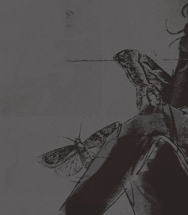 𝖓𝖔𝖈݁ᛪ༙ᵁ͢ᴿ͢ᴺ͢ᴱ ‍ ‎‍ tweet media