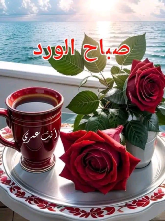 محمدابورعد (@7734mmmm) on Twitter photo 