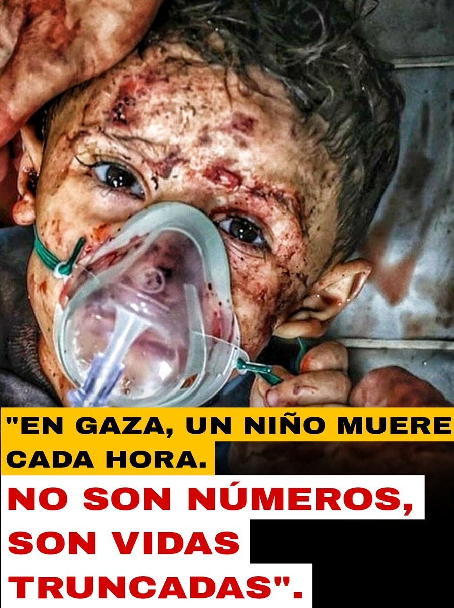 Fidelista 100% tweet media