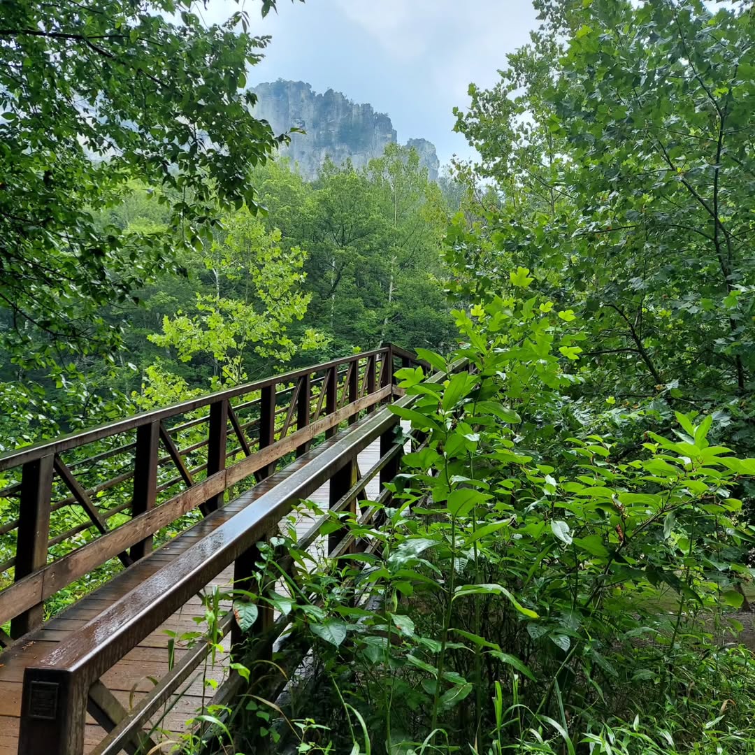 Post-card worthy views from Seneca Rocks! 💌

📍: Seneca Rocks
📸: instagram.com/restless36
