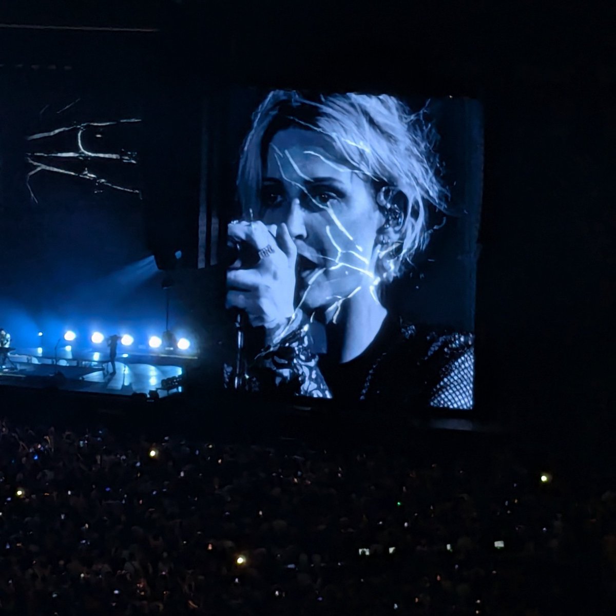 petjaa 🏳️‍🌈🦎 tweet media