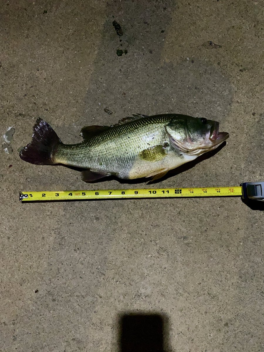 Everybody saying this my PB so imma roll w it.