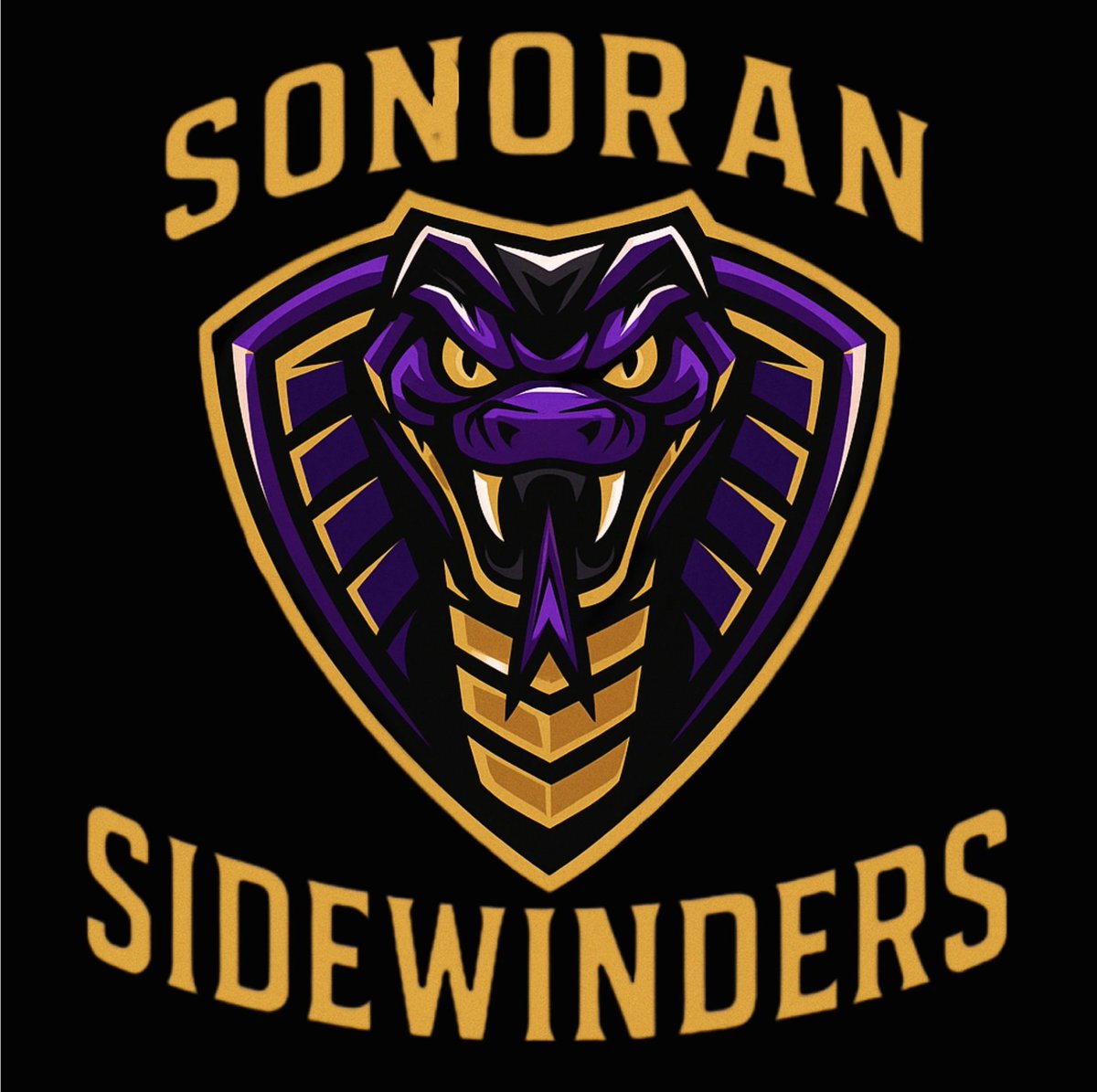 Sonoran Sidewinders Football (@sidewindersfb) on Twitter photo AZ players heading to Cali JUCOs — be ready for the real costs!
💰 Out-of-state tuition
🏠 Housing
🍽️ Meals
🚗 Travel
📸 Don’t fall for the views!
Meanwhile, in Arizona ⬇️
<a href="/SS_CoachMonson/">Chad Monson</a> secured 6 offers last season — 1 FCS, 4 D2, 1 D3
Real coaching. Real recruiting. Real AZ players heading to Cali JUCOs — be ready for the real costs!
💰 Out-of-state tuition
🏠 Housing
🍽️ Meals
🚗 Travel
📸 Don’t fall for the views!
Meanwhile, in Arizona ⬇️
<a href="/SS_CoachMonson/">Chad Monson</a> secured 6 offers last season — 1 FCS, 4 D2, 1 D3
Real coaching. Real recruiting. Real