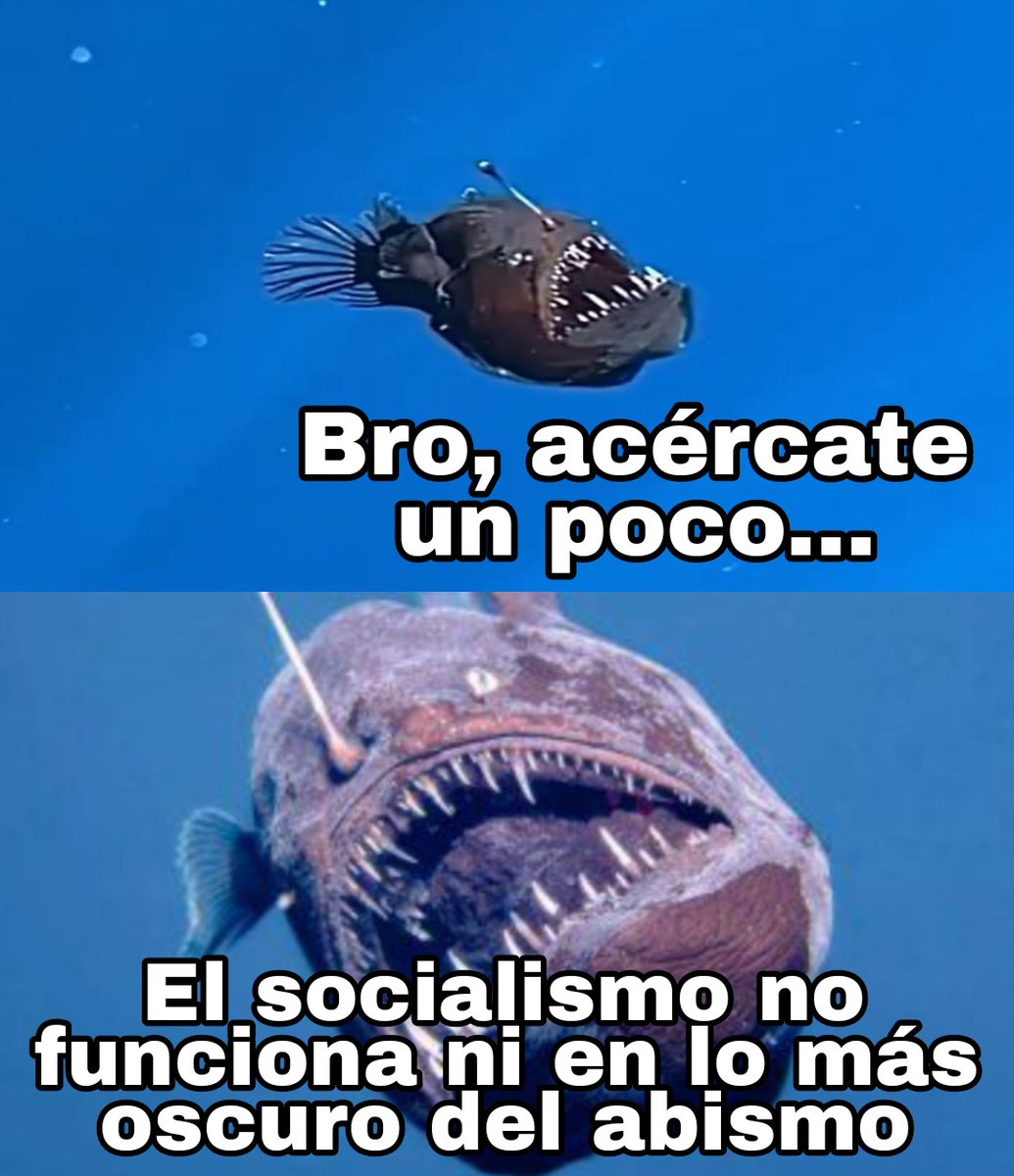 NoVive_Socialis's tweet photo. https://t.co/2xQfC6OM3O