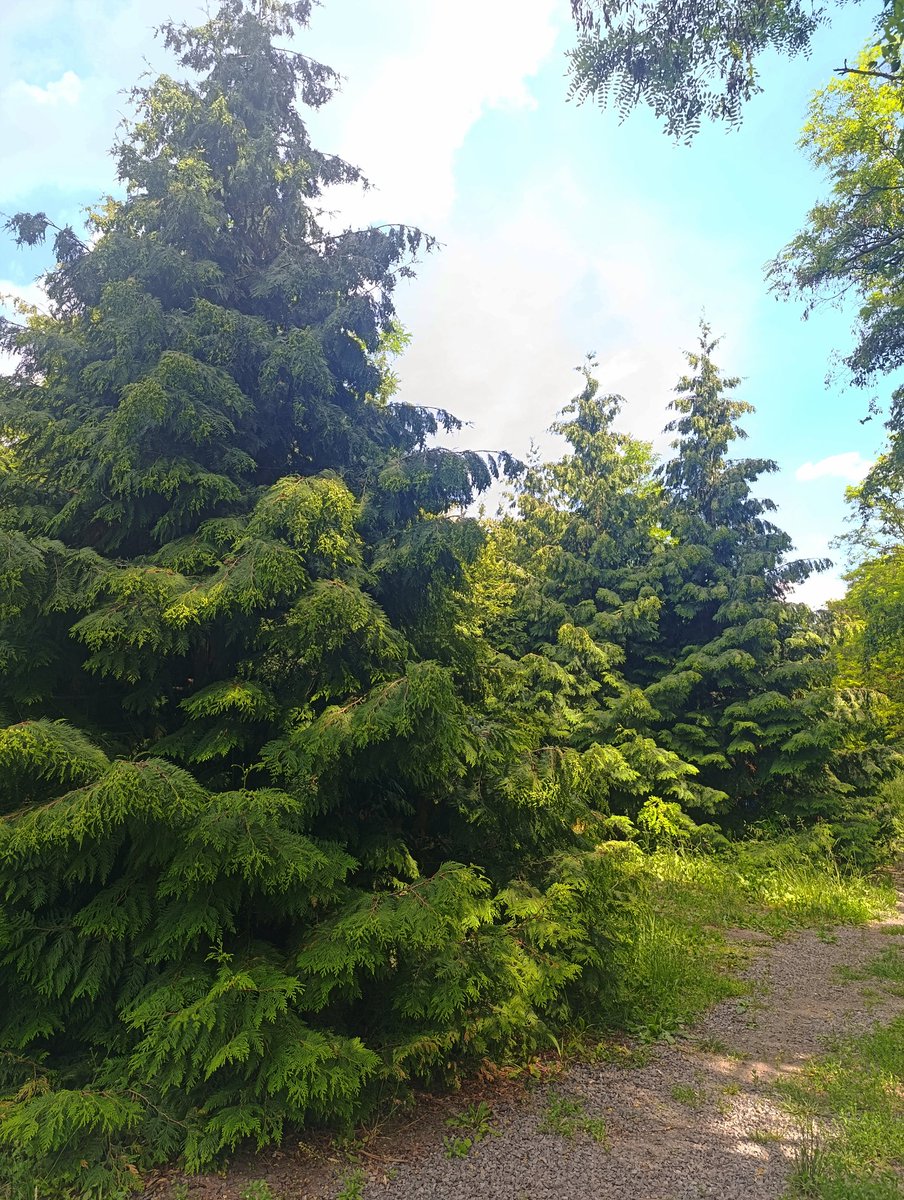 недовольный дед tweet media