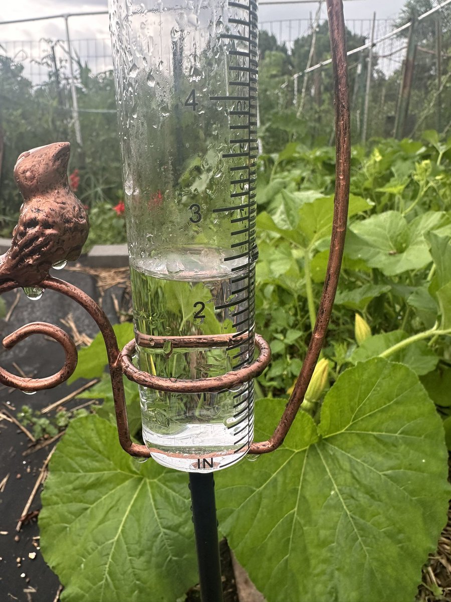 .<a href="/NWS_BaltWash/">NWS Baltimore-Washington</a> Long reach garden plots, Columbia, MD, about 7:15 pm