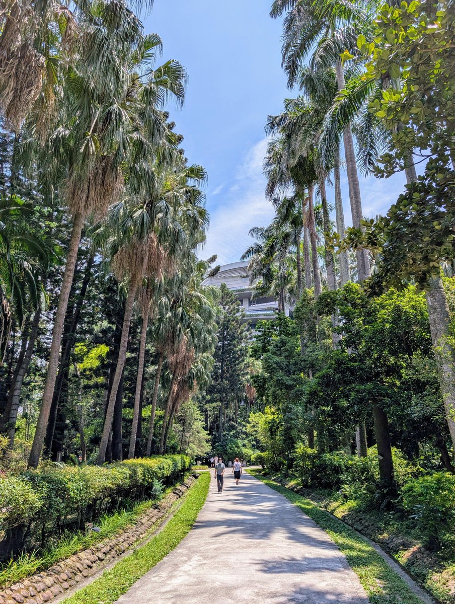 植物園を通り過ぎると、迎え入れる清々しい空気がまるですべての悩みを吹き飛ばしてくれるかのようです🌿✨