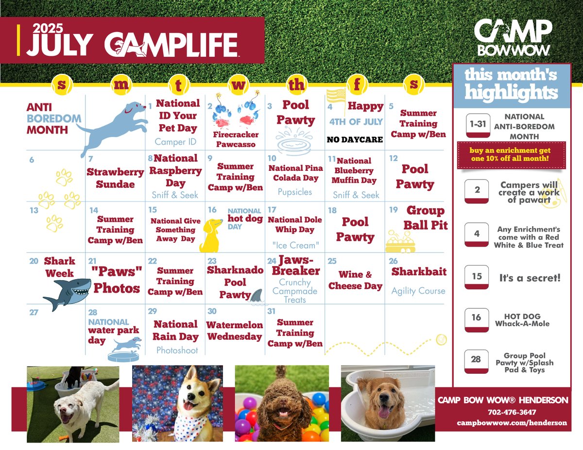 CBWHenderson's tweet image. We are so ready for all the FUN we have planned this month! Be sure to get your reservations in so your pup doesn't miss out on all the adventures!! 

#camplife #enrichments #funatcamp #happycamper #doggydaycare #dogboarding #campbowwow #henderson