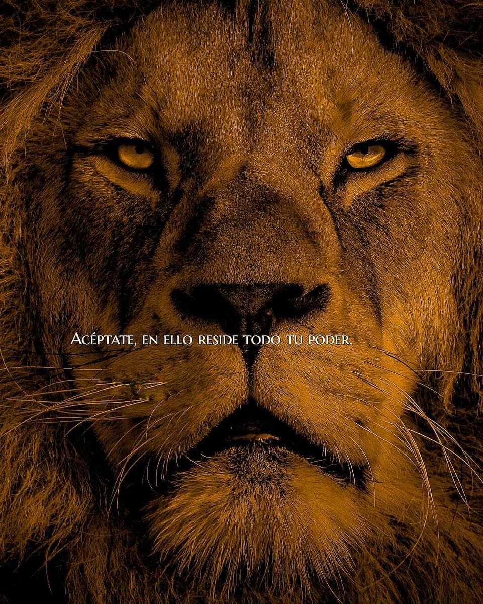 Disciplina (@eligedisciplina) on Twitter photo 