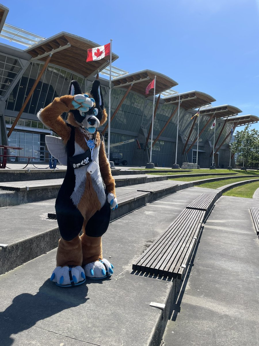 It’s Canada day! Where my Canadian furries at 🫡

📸: <a href="/NotQuiteMellow/">Mellow ✨</a>