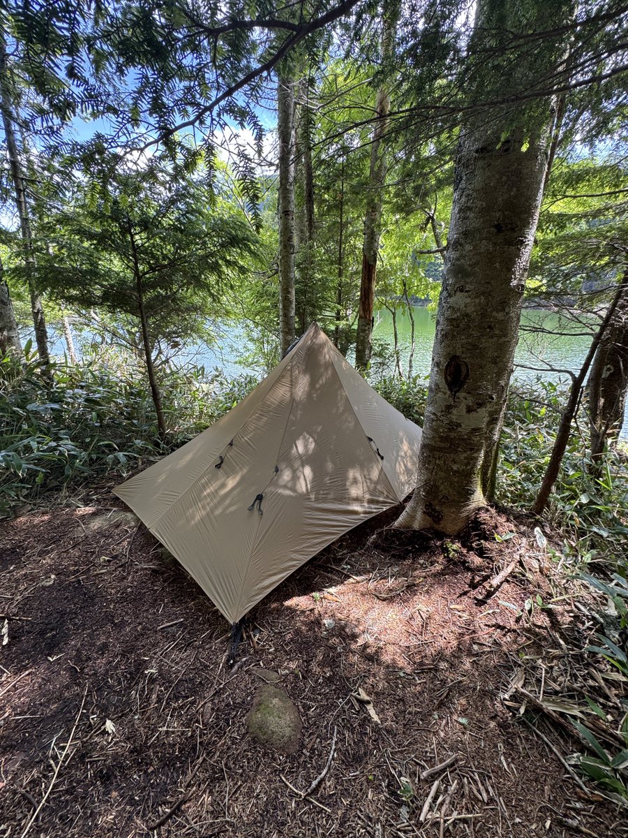 LOCUS GEAR tweet media