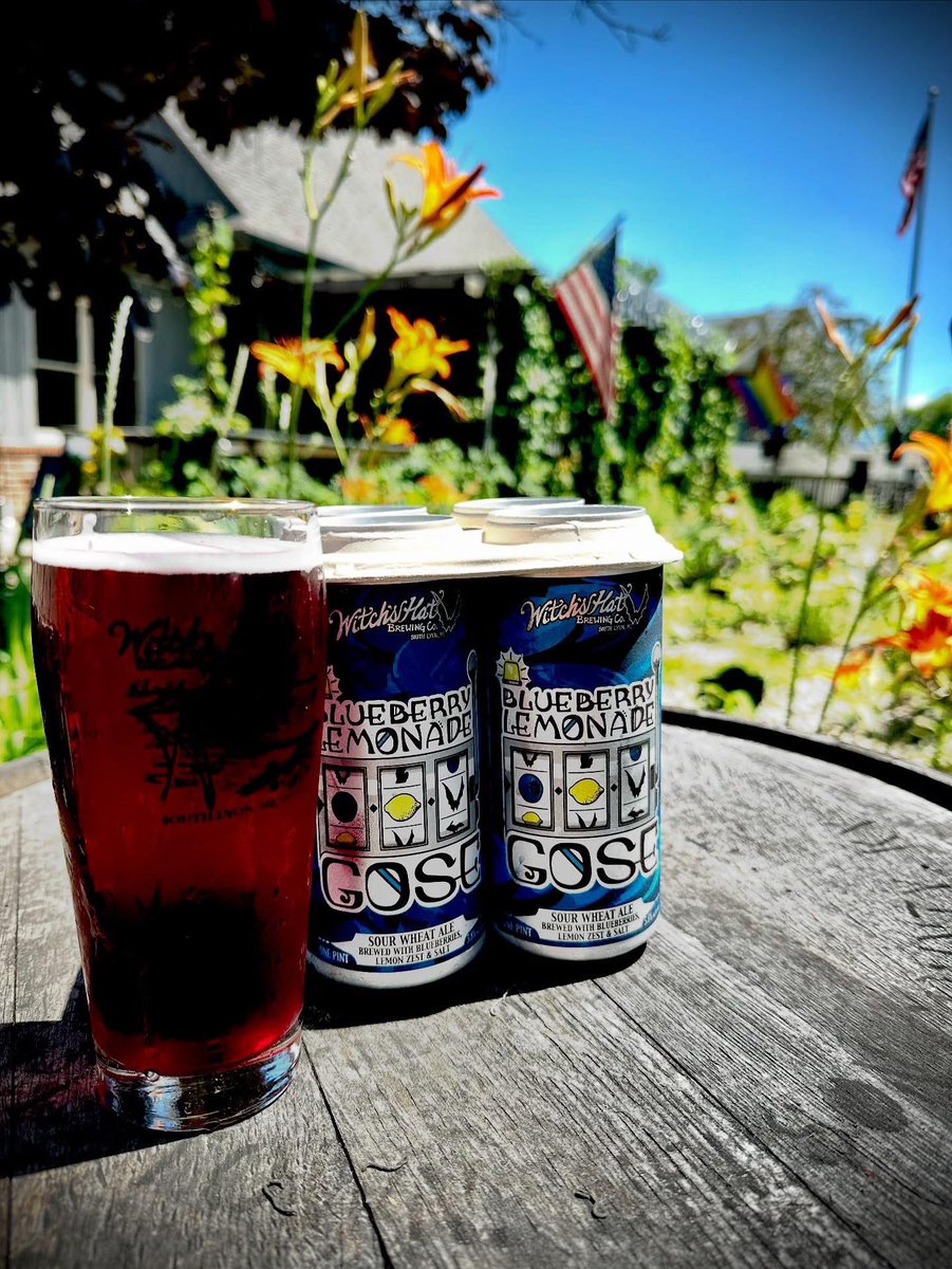 🫐🍋 Fresh cans of Blueberry Lemonade Gose are back in stock!