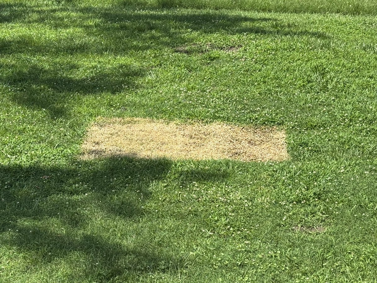 Well who would have thought solar panels would have cooked the ground in 12hrs!