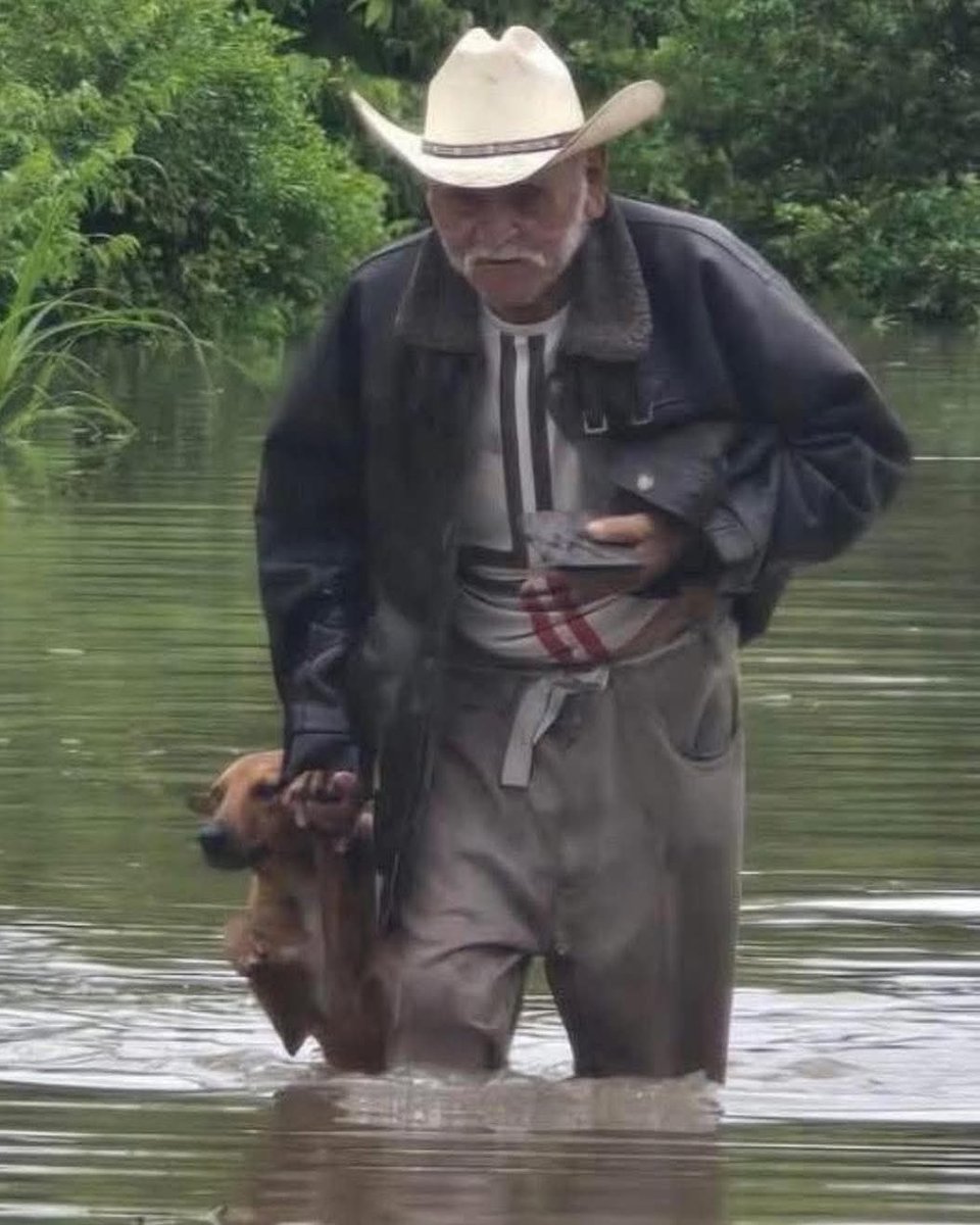 DiloConPerritos's tweet photo. Este señor sin importar  la inundación que azota la zona de #Tamaulipas regresó por su mejor amigo😭🐶

De esos amores silenciosos, pero únicos, esas amistades que nunca se dicen pero se demuestran en las malas. ♥️

Gómez Farías, Tamaulipas
📸 Gladis Sierra https://t.co/NoWxZeS2HI