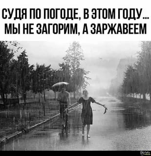 𝑬𝒍𝒆𝒏𝒂🍀🌏 (@elena_schein) on Twitter photo 