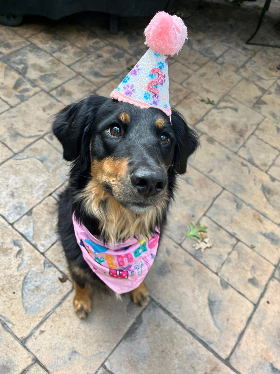 This July, we’re spotlighting Dana Valatka! 🎉 For 24 years, Dana has brought heart, humor &amp; top-tier service to Elyria. From helping donors use the app to reuniting lost dogs with their owners—she does it all. We’re so lucky to have her! 💜 #TeamVitalant