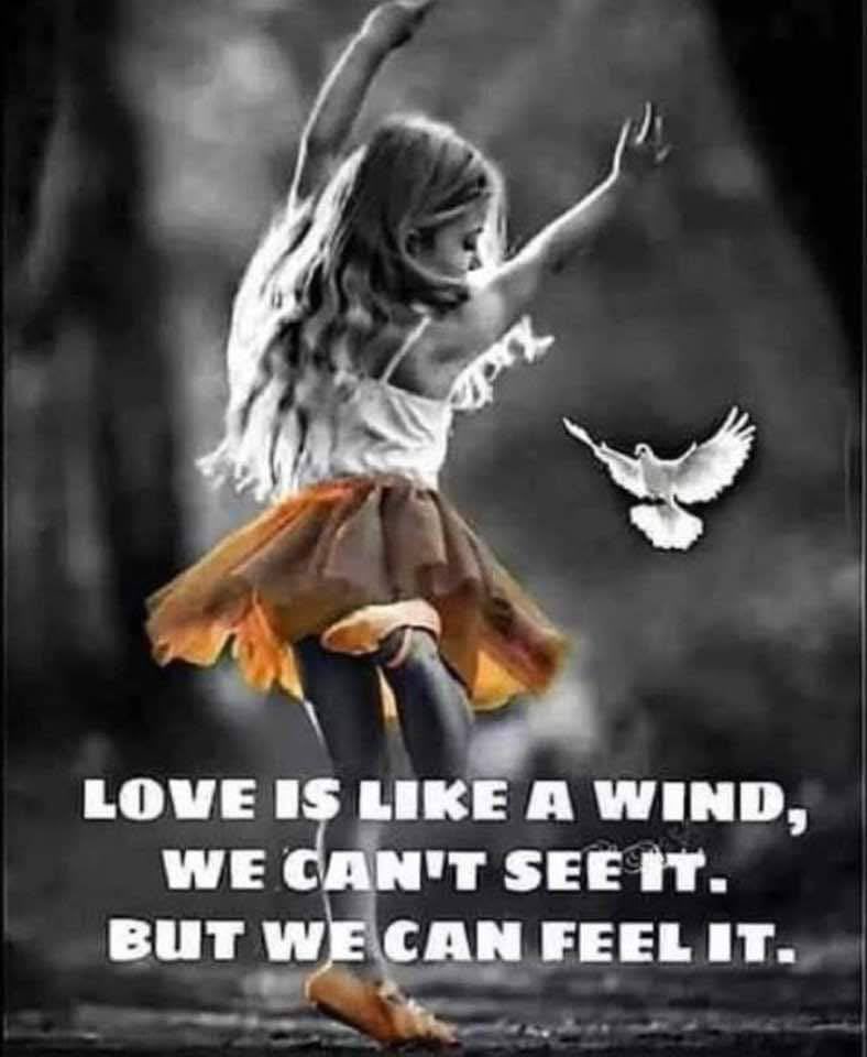 Susan (@emma6usa) on Twitter photo Love is like the Wind, We can’t see it, but we can Feel it. 🇺🇸
<a href="/Just_Carly_/">Carly</a>
<a href="/cornock60/">@kcornock60🇺🇸</a>
<a href="/thames_tim/">Just a Redneck From The South</a>
<a href="/TJLakers01/">Tim Lawrence</a>
<a href="/thandar324/">Lord Thandar</a>
<a href="/Kevinosjcp1/">Kevin Sexton</a>
<a href="/KevinGills13/">Kevin 1763</a>
<a href="/NorCal_Patriot/">American</a>
<a href="/IndianDakotaX/">ᴅᴀᴋᴏᴛᴀ ʙʀᴀɴᴅ</a>
<a href="/HunterDax16904/">DaxHunter</a>
<a href="/waconservative6/">The MAGA Welder</a>
<a href="/1TexasRednecker/">1 of many</a>
<a href="/ROCKONOHIO77/">ROCK ON OHIO</a>
<a href="/TrueTruthToday/">TrueTruth</a> Love is like the Wind, We can’t see it, but we can Feel it. 🇺🇸
<a href="/Just_Carly_/">Carly</a>
<a href="/cornock60/">@kcornock60🇺🇸</a>
<a href="/thames_tim/">Just a Redneck From The South</a>
<a href="/TJLakers01/">Tim Lawrence</a>
<a href="/thandar324/">Lord Thandar</a>
<a href="/Kevinosjcp1/">Kevin Sexton</a>
<a href="/KevinGills13/">Kevin 1763</a>
<a href="/NorCal_Patriot/">American</a>
<a href="/IndianDakotaX/">ᴅᴀᴋᴏᴛᴀ ʙʀᴀɴᴅ</a>
<a href="/HunterDax16904/">DaxHunter</a>
<a href="/waconservative6/">The MAGA Welder</a>
<a href="/1TexasRednecker/">1 of many</a>
<a href="/ROCKONOHIO77/">ROCK ON OHIO</a>
<a href="/TrueTruthToday/">TrueTruth</a>