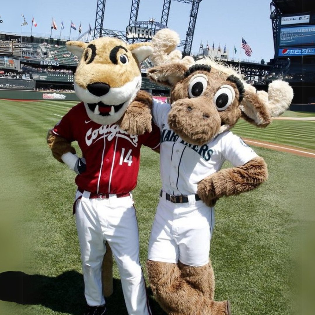WSUAlumAssoc's tweet image. Get ready for Coug Night at the Mariners! This is your chance to snag a limited-edition WSU Mariners-themed satin jacket (while supplies last!) Tickets are selling out quickly. Visit alumni.wsu.edu/mariners2025 to learn more and get tickets!