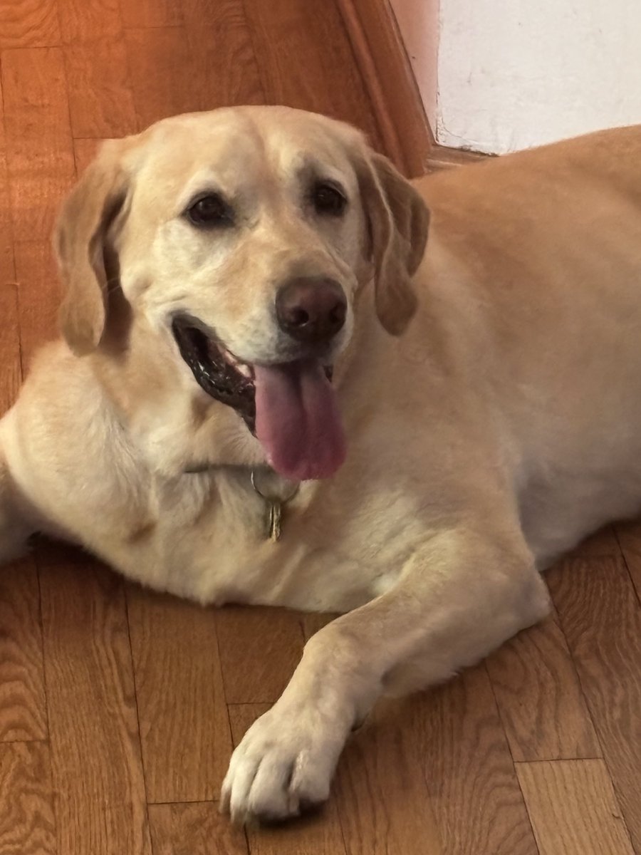 MichaelESmith's tweet image. #TongueOutTuesday