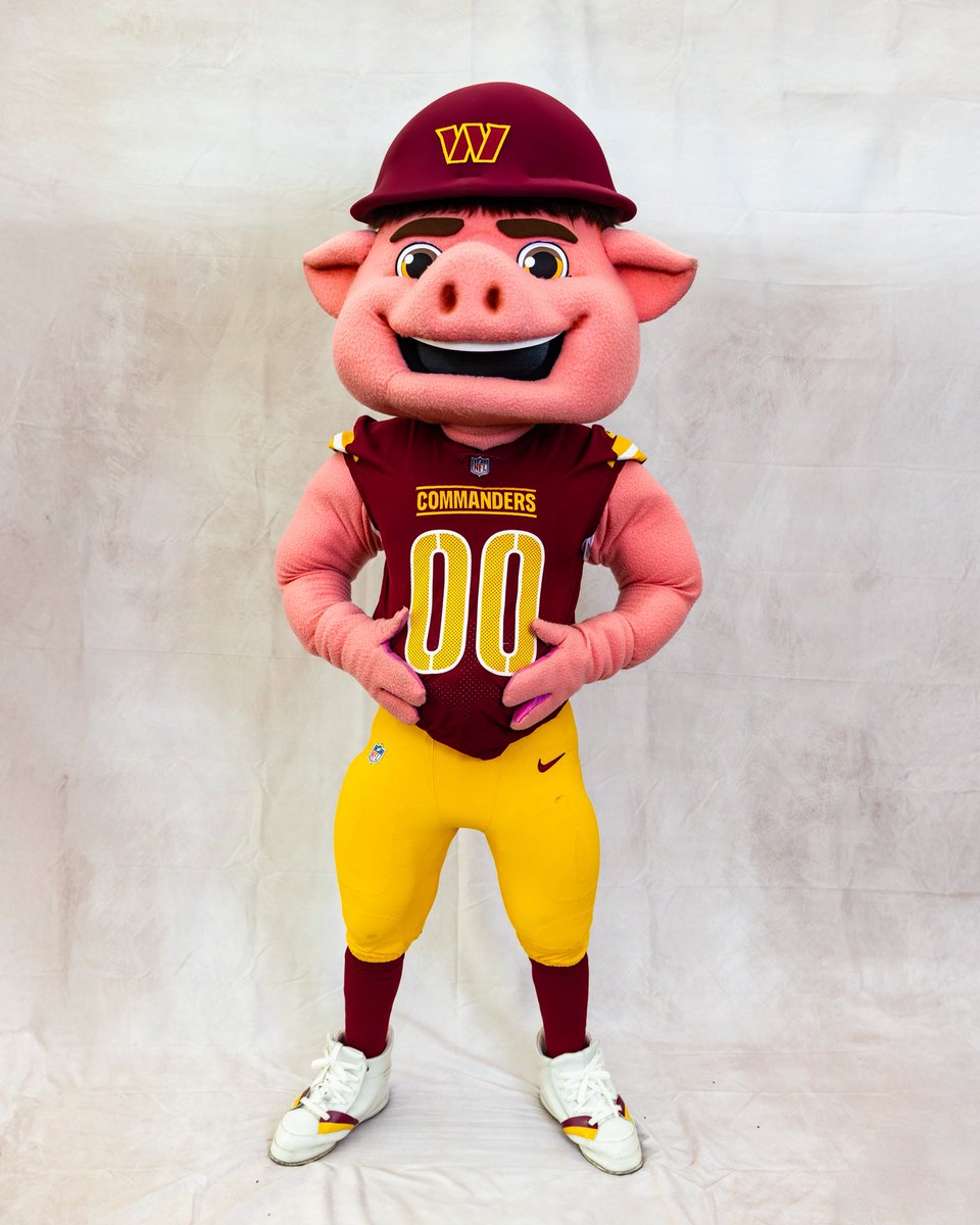 MajorTuddy's tweet image. what’s your favorite pose? 🐽