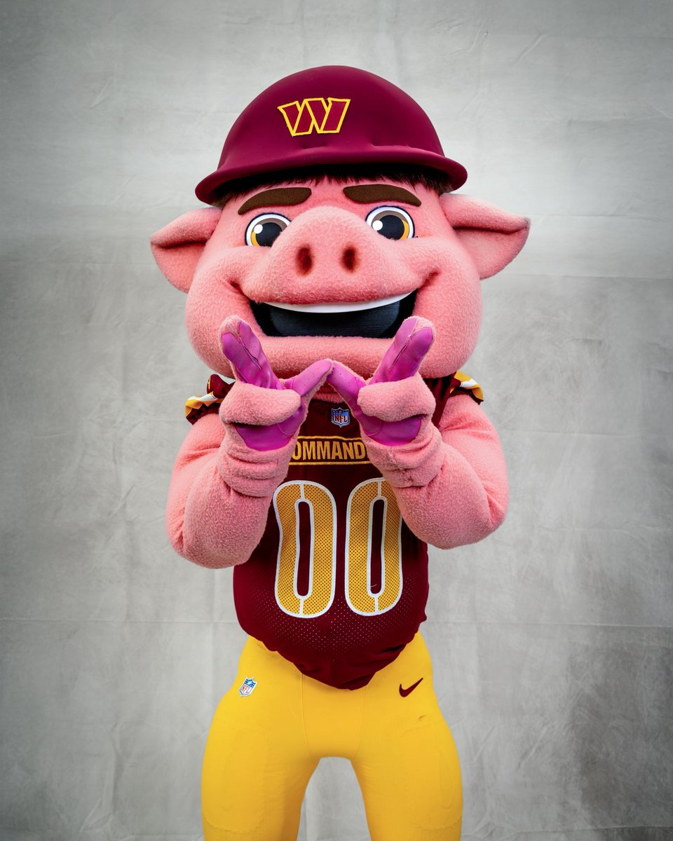 MajorTuddy's tweet image. what’s your favorite pose? 🐽