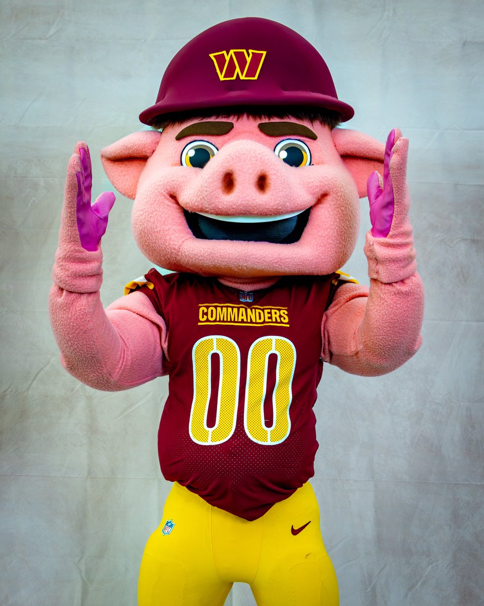 MajorTuddy's tweet image. what’s your favorite pose? 🐽