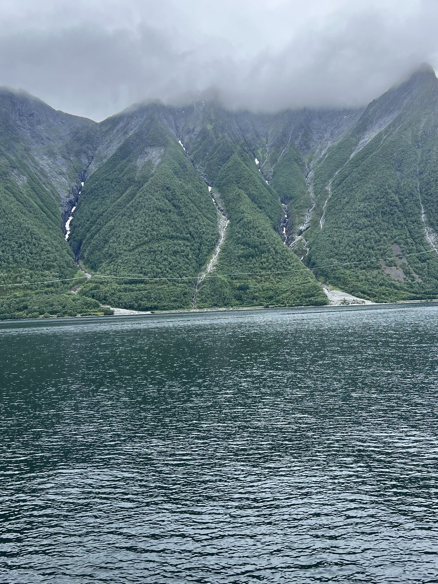 Anne Murphy tweet media