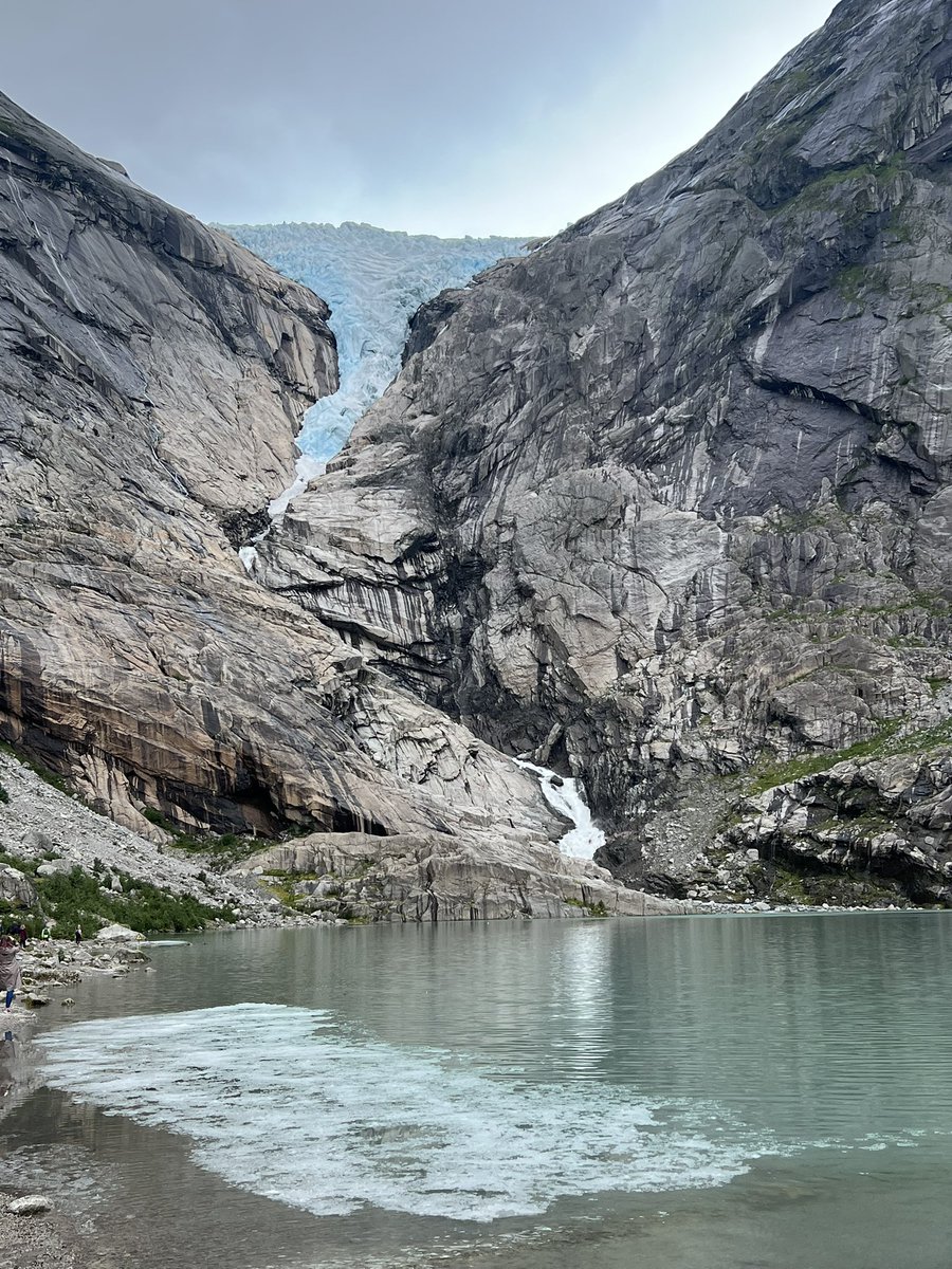 Anne Murphy tweet media