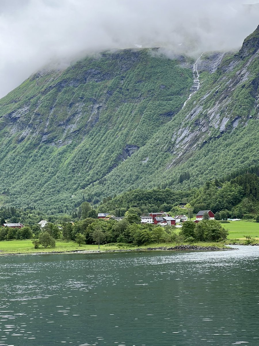 Anne Murphy tweet media