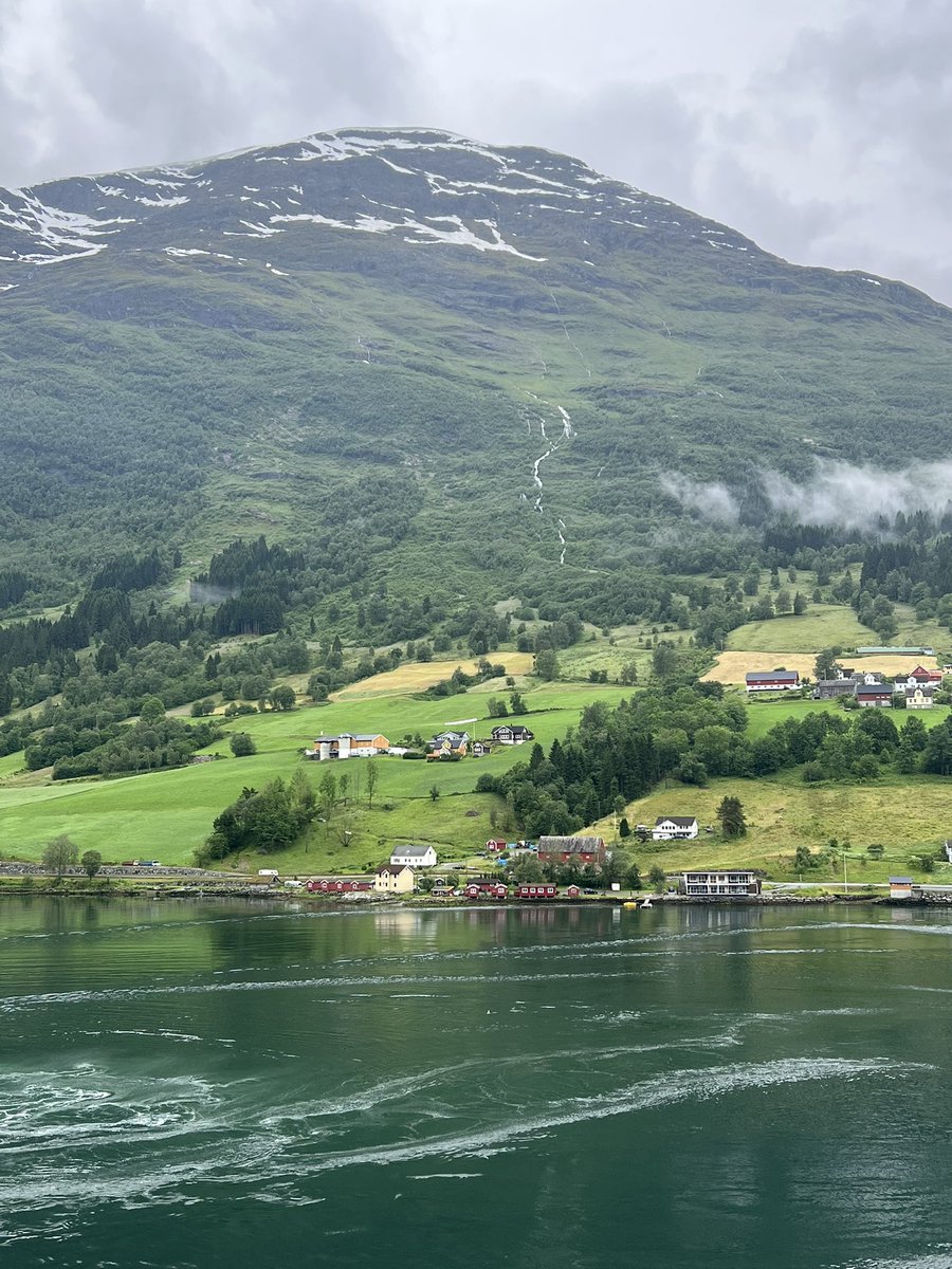 Anne Murphy tweet media