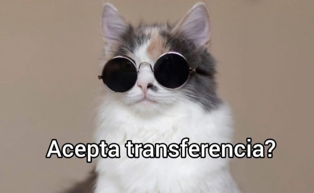 “Voy a salir sin efectivo así no gasto”

Yo en el primer local que veo: