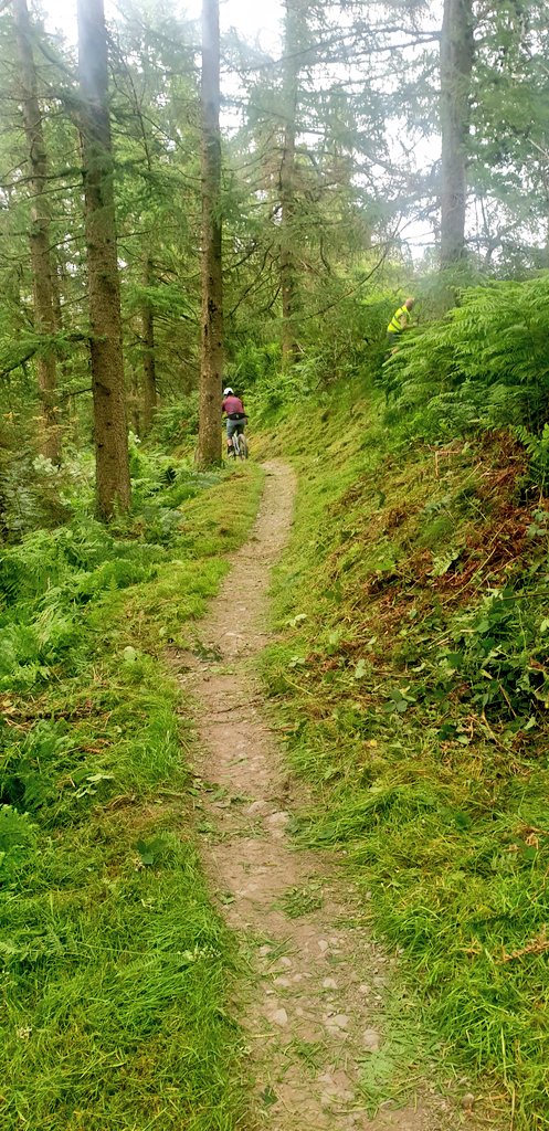 Out on another big #trail trim with <a href="/terryspeed/">Terry Speed</a> today.. loads done and we made the world a better place..👍
#mtb #llandegla #NorthWales