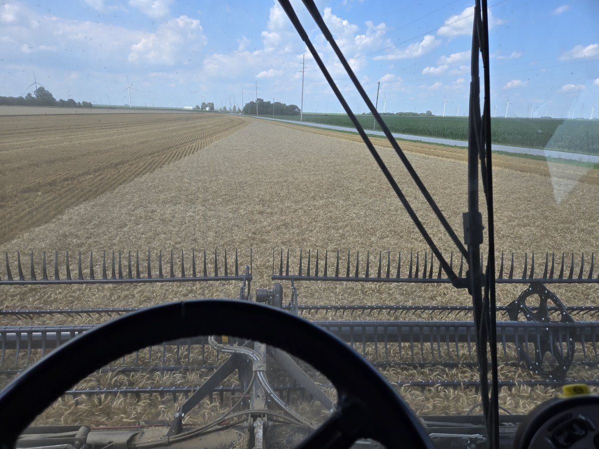 Ryan Deckard tweet media