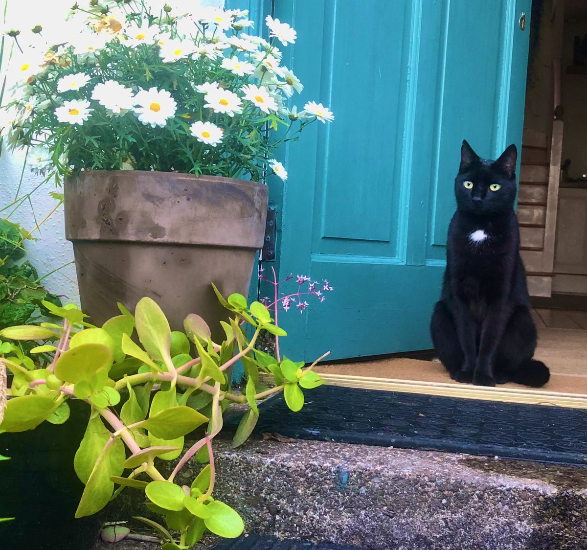 The door compliments my eyes.
Thank you.