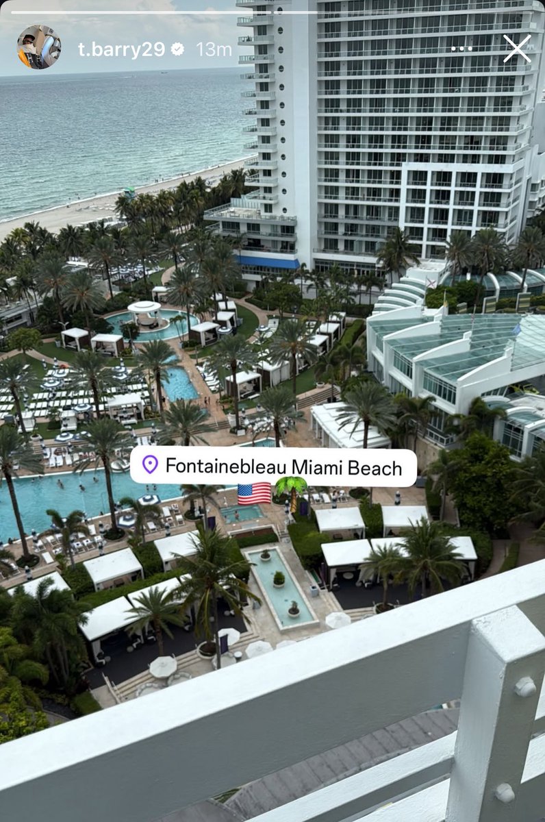 𝗧𝗵𝗲 𝗧𝗼𝗳𝗳𝗲𝗲 𝗕𝗹𝘂𝗲𝘀 tweet media