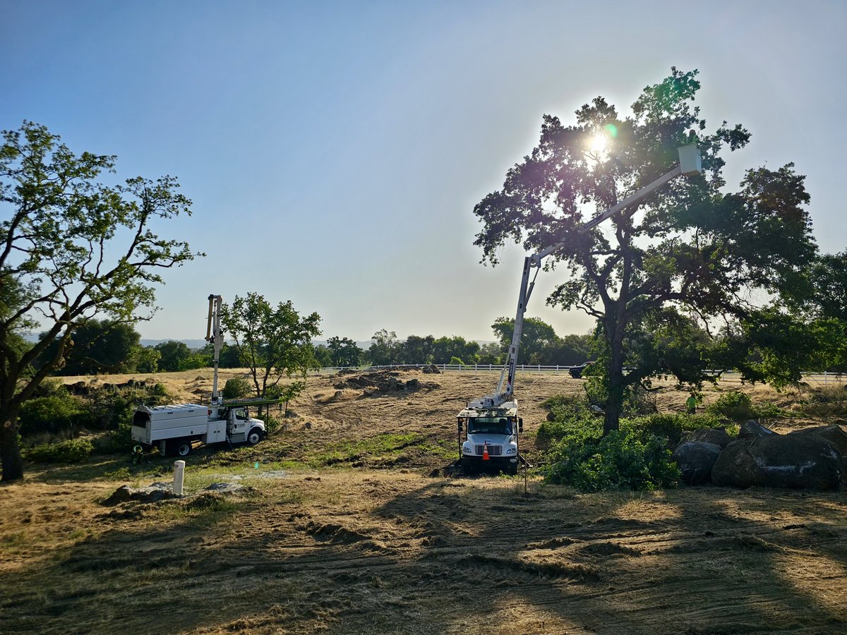 TwinCities_Tree's tweet image. Rise and prune! Our team is up with the sun, doing what we do best: keeping your trees healthy and your home safe. Thank you for trusting your local experts for over three decades.  
Call us today (530) 755-1067
#TwinCitiesTreeService #TreeCareDoneRight