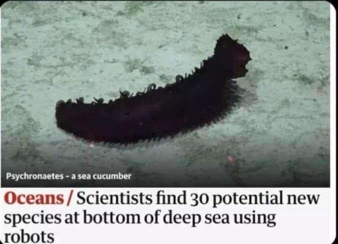 Whilst ai applaud da species' ingenuity an tech, shuldn't da hooms beez maor concerned dat dey no as far ahead in robot stuffs?? 
#ECCHappyHour