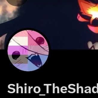 Shiro_TheShadow tweet media