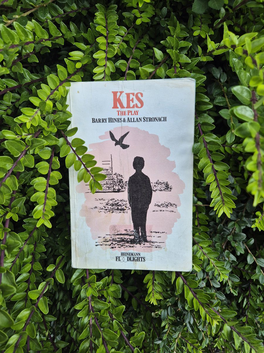 Mrs Byrne-Martin tweet media