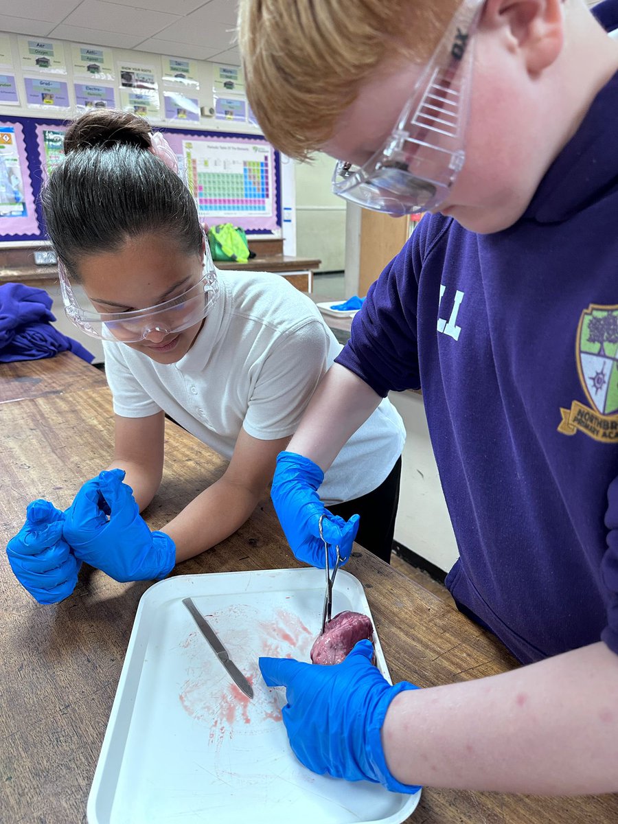 Northbrook Primary Academy tweet media