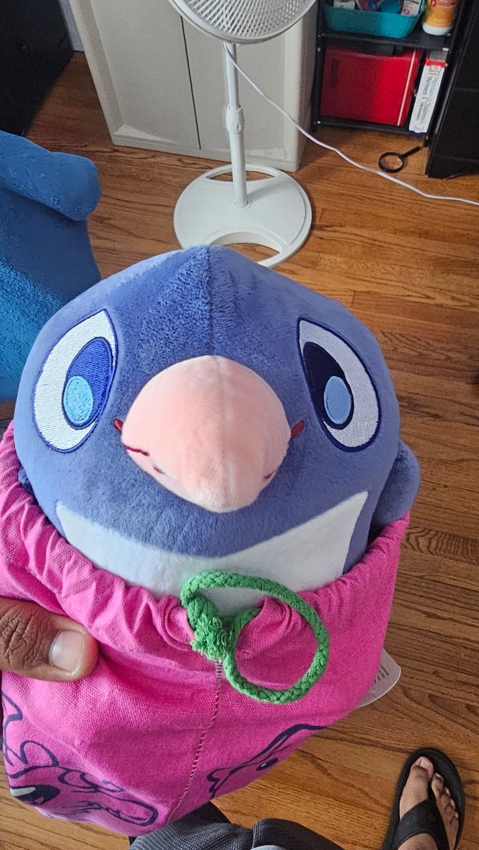 ApolloStarVA's tweet photo. @NicoB7700 He has arrived, I shall rise him as my own https://t.co/096wwRZfoi