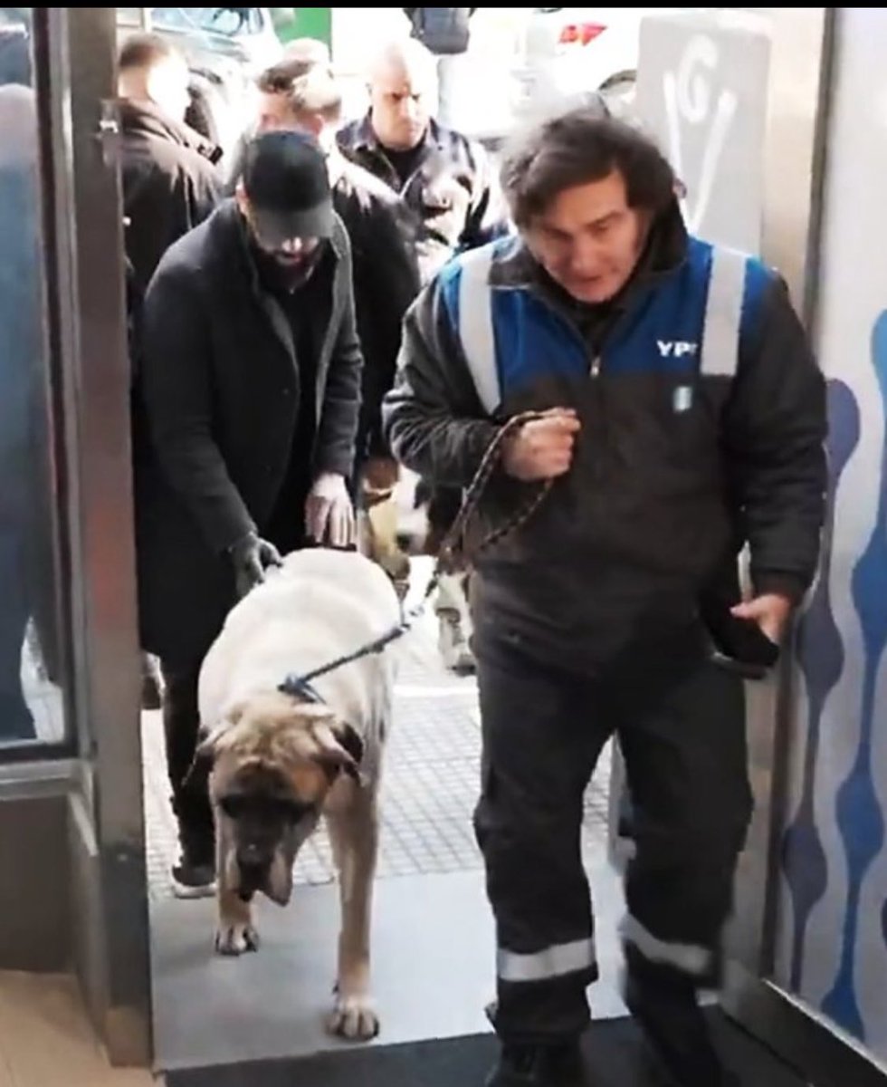 Que estómago que hay que tener para cogerse a ese tipo, jorobado, pinta de sucio, caspa, violento, camina como mandril, que estómago Lemoine Yuyito y Fátima, tengan dignidad